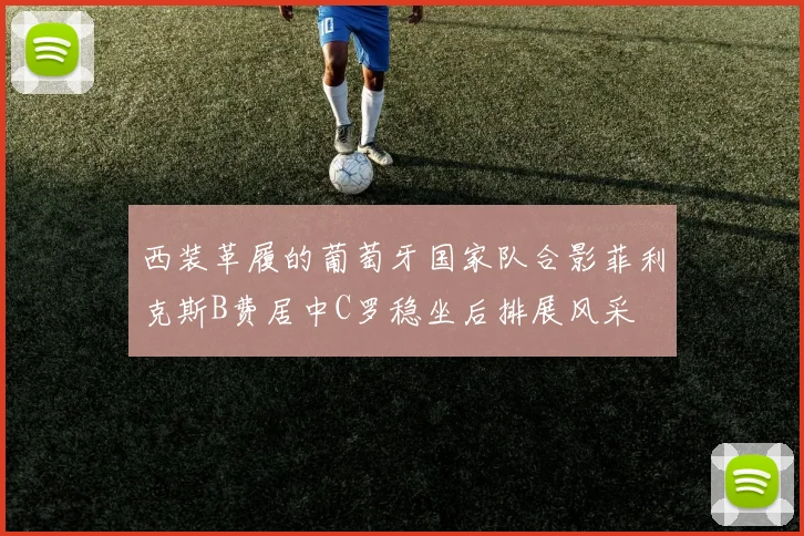 西装革履的葡萄牙国家队合影菲利克斯B费居中C罗稳坐后排展风采
