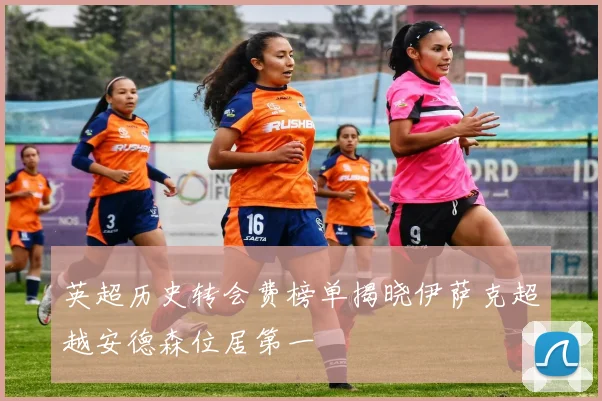英超历史转会费榜单揭晓伊萨克超越安德森位居第一